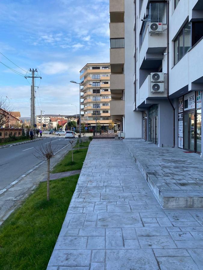 Apartament David Râmnicu Vâlcea Екстериор снимка